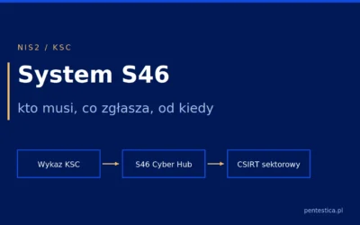 System S46 — co to jest, kto musi z niego korzystać i jak uzyskać dostęp